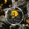 Custom University Logo Crystal Ornament, College Graduation Gift for Her, Personalized Class of 2025 Keepsake, School Grad Glass Ornament