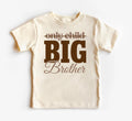 Big Brother Baby Bodysuit, Baby Shirt, Toddler Sweatshirt - Retro Big Brother Sibling Outfit, Cute Big Brother Gift, Pregnancy Announcement