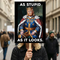 As Stupid As It Looks Protest Sign, Anti-Trump Resistance, Political Activist Protest Poster