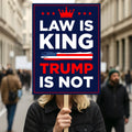 No Kings In America Protest Sign, Anti-Trump Resistance, Political Activist Poster