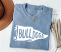 Custom Watercolor Pennants Flag Mascot Shirt, Girly Mascot Shirt, School Spirit Tee