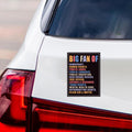 Big Fan of Human Rights Magnet, Equality, Lady Liberty, Democracy Magnet, Resist Racism, Resist Fascism Vehicle Decal, 6