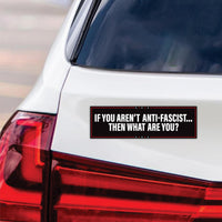 No Kings In America Magnet, Democracy Not Oligarchy Magnet, Anti-Trump, Resist Racism Car Magnet, Resist Fascism Vehicle Magnet, 10" x 3"