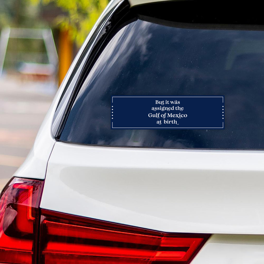 Gulf of Mexico Vinyl Sticker, Resist Hate Decal, Anti-Trump, Resist Racism Sticker, Resist Fascism Car Bumper Sticker