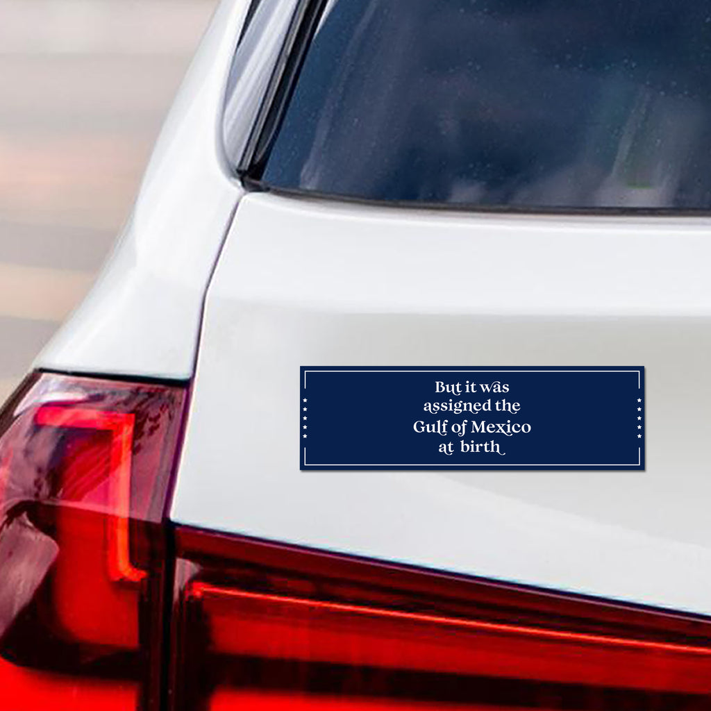 Gulf of Mexico Magnet, Resist Hate Magnet, Anti-Trump, Resist Racism Car Magnet, Resist Fascism Vehicle Magnet