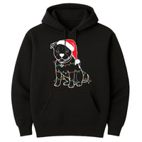 Cute Christmas Dog Hoodie, Pitbull Holiday Shirt, Family Xmas Hoodie