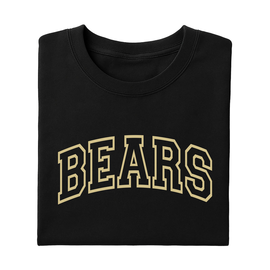Custom School Mascot Shirt, Personalized School Logo Shirt, Team Mascot Name Tee
