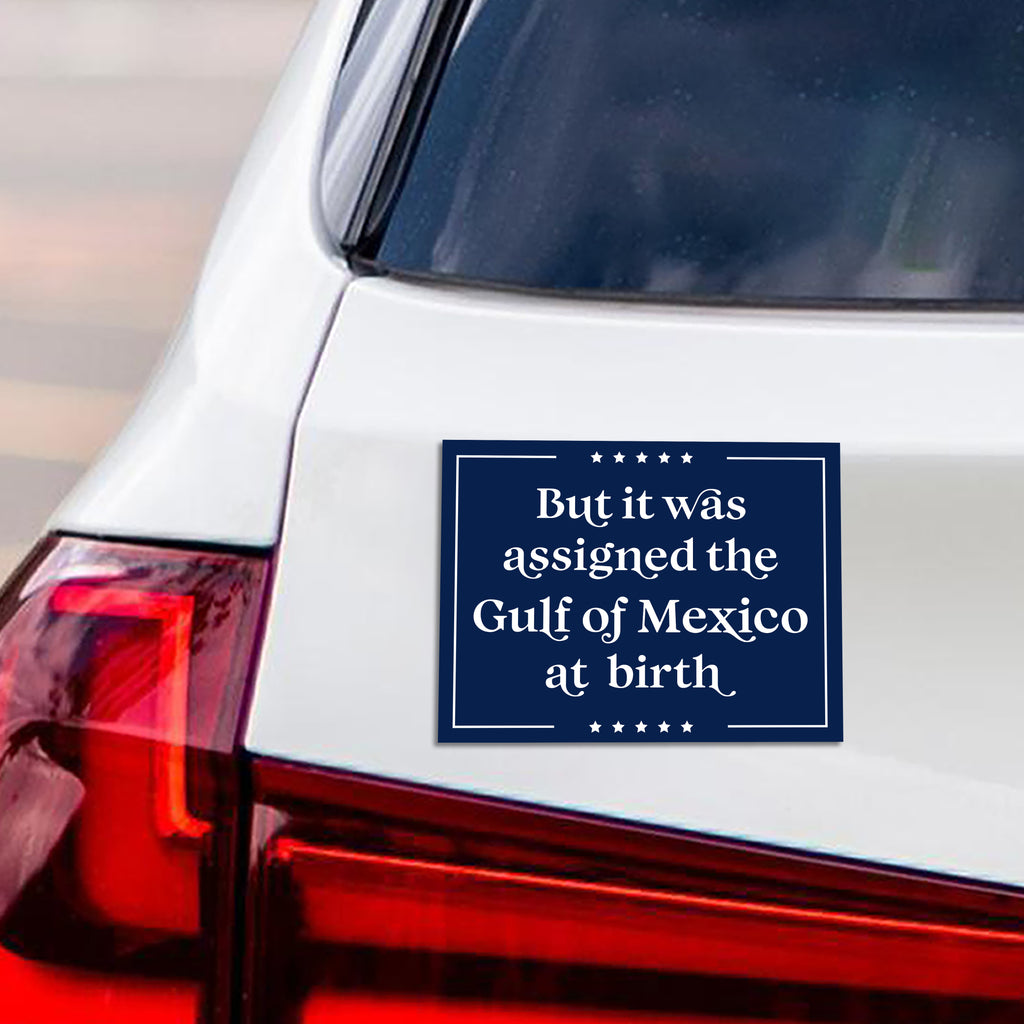 Gulf of Mexico Magnet, Resist Hate Magnet, Anti-Trump, Resist Racism Car Magnet, Resist Fascism Vehicle Magnet