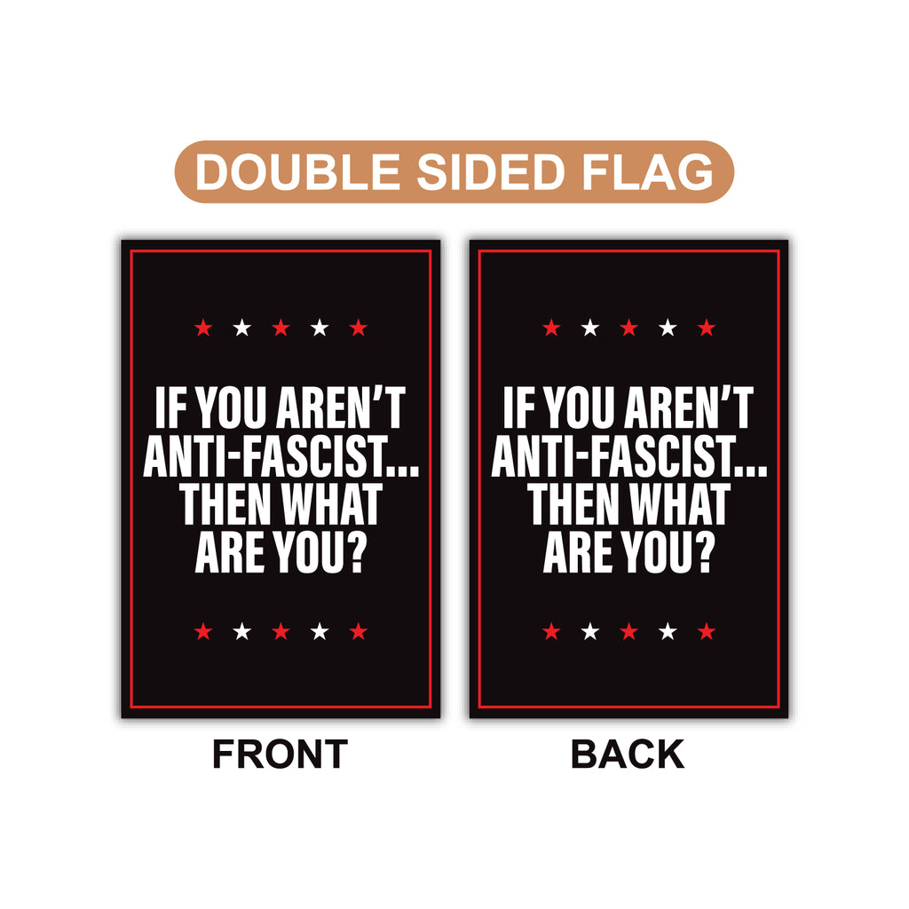 No Kings In America Garden Flag, 12x18 Inch Double Sided, Democracy Not Oligarchy, Anti-Trump Flag, Resist Racism Flag, Resist Fascism Flag