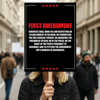 1st Amendment Free Speech Constitution Protest Sign, No Kings In America, Anti-Trump Resistance Political Poster, Resist Fascism Rally Sign