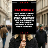1st Amendment Free Speech Constitution Protest Sign, No Kings In America, Anti-Trump Resistance Political Poster, Resist Fascism Rally Sign