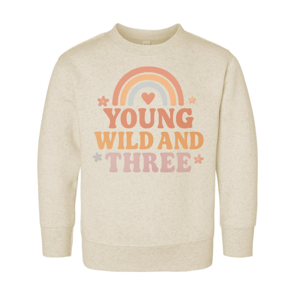 Young Wild & Three Onesie, Baby Bodysuit, Baby Shirt, Toddler Sweatshirt - Girls Retro Rainbow Birthday Outfit, Cute 3rd Birthday Gift