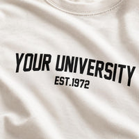 Custom College University Shirt, Personalized School Name Tee, Trendy Game Day T-Shirt, Senior Graduation Gift for Student, Alumni Gift