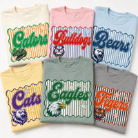 Personalized School Mascot Shirt, Custom Team Name Tee, Retro Varsity Spirit Wear Design, School Game Day Outfit, Coach Gift for Team