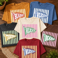 Personalized School Spirit Shirt, Custom Mascot Name Tee, Retro Pennant Team T-Shirt, Student Game Day Outfit, Custom School Team Gift