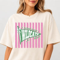 Personalized School Spirit Shirt, Custom Mascot Name Tee, Retro Pennant Team T-Shirt, Student Game Day Outfit, Custom School Team Gift