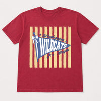 Personalized School Spirit Shirt, Custom Mascot Name Tee, Retro Pennant Team T-Shirt, Student Game Day Outfit, Custom School Team Gift