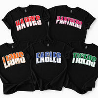 Personalized School Mascot Shirt, Custom Team Name Tee, Vintage Varsity Spirit Wear, Matching Game Day Shirts, Custom Team Gift for Fans