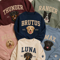 Custom Dog Embroidered Sweatshirt, Personalized Pet Portrait Hoodie, Custom Name and Year Shirt, Dog Lover Sweatshirt, Fur Mama Gift