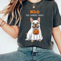 Personalized Pet Halloween Shirt, Custom Pet Photo Ghost Tee, Hungry Ghost Top, Spooky Dog Mom Shirt, Halloween Gift for Animal Lover