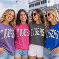 Personalized School Mascot Shirt, Custom Team Name Tee, Varsity Letter School Shirt, Student Section Game Day Wear, Custom Team Gift