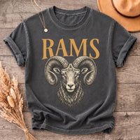 Custom School Mascot Vintage Tee, Personalized Team Spirit Shirt, Retro Game Day Teacher Top, Bulldogs Tigers Eagles Wildcats, Coach Gift
