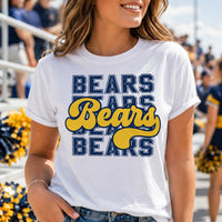 Personalized School Mascot Shirt, Custom Team Name Tee, Retro Varsity Mascot T-Shirt, Game Day School Spirit Apparel, Custom Team Gift