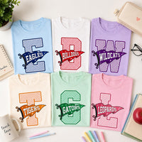 Personalized School Mascot Shirt, Custom Team Name Varsity Tee, Gingham Letter Game Day Top, Back to School Outfit, Gift for Teacher