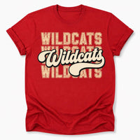 Personalized School Mascot Shirt, Custom Team Name Tee, Retro Varsity Mascot T-Shirt, Game Day School Spirit Apparel, Custom Team Gift