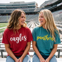 Custom Mascot Puff Print Shirt, Personalized Team Name Sweatshirt, Raised 3D School Spirit Hoodie, Mascot Puff Shirt, Sports Team Gift