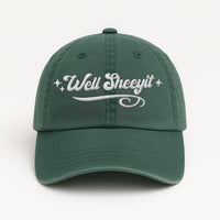 Well Sheeyit Embroidered Hat, Funny Southern Country Slang Cap, Low Profile Dad Hat, Sarcastic Country Humor Gift Idea, Gift for Her