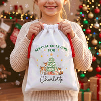Personalized Woodland Santa Sack, Name Christmas Gift Bag, Kids Christmas Toy Sack, Forest Animal Holiday Bag, Named Christmas Gift