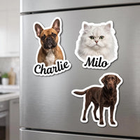Custom Photo Magnet, Personalized Dog and Cat Fridge Magnet, Die Cut Animal Portrait Keepsake, Custom Pet Fridge Magnet, Pet Lover Gift