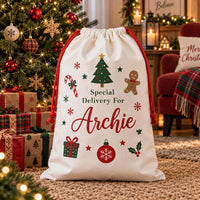 Personalized Santa Sack, Special Delivery Christmas Toy Sack with Name, Large Kids Gift Bag, Kids Christmas Toy Sack, Named Christmas Gift
