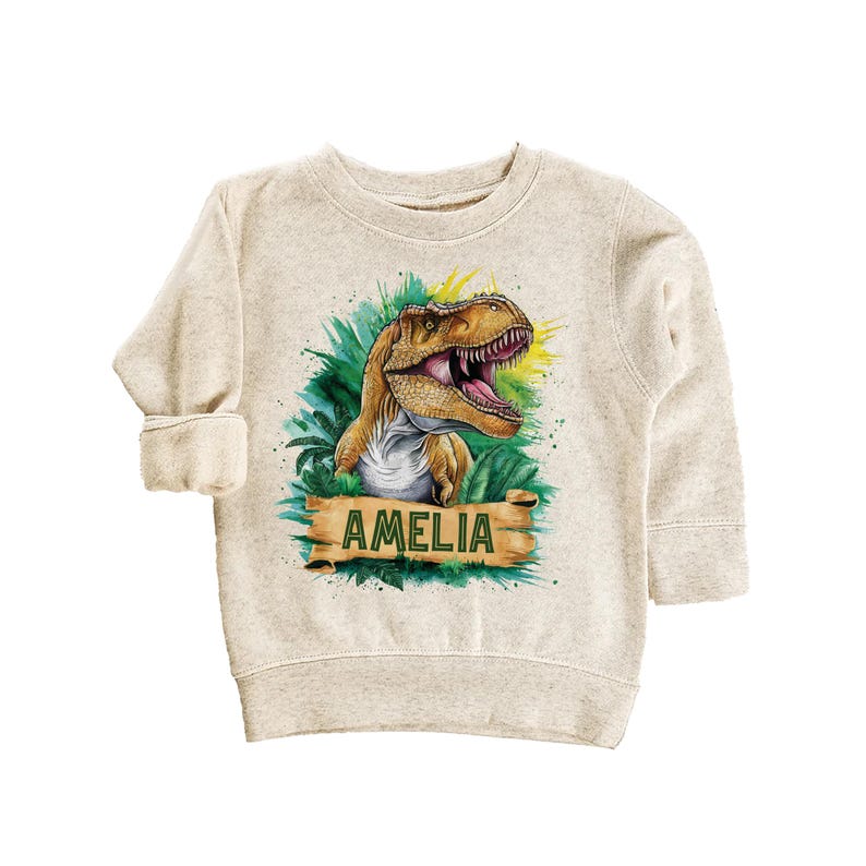 Personalized Dinosaur Baby Sweatshirt, Custom Name T-Rex Kids Outfit