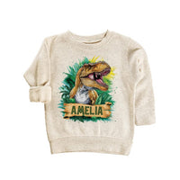 Personalized Dinosaur Baby Sweatshirt, Custom Name T-Rex Kids Outfit