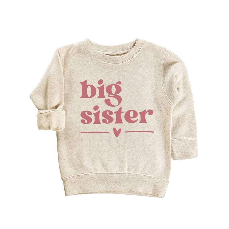 Big Sister Baby Shirt, Adorable Big Sister Gift for Girls, Pregnancy Announcement Pullover