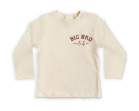Big Bro Baby Shirt, Matching Sibling Gift for Boys