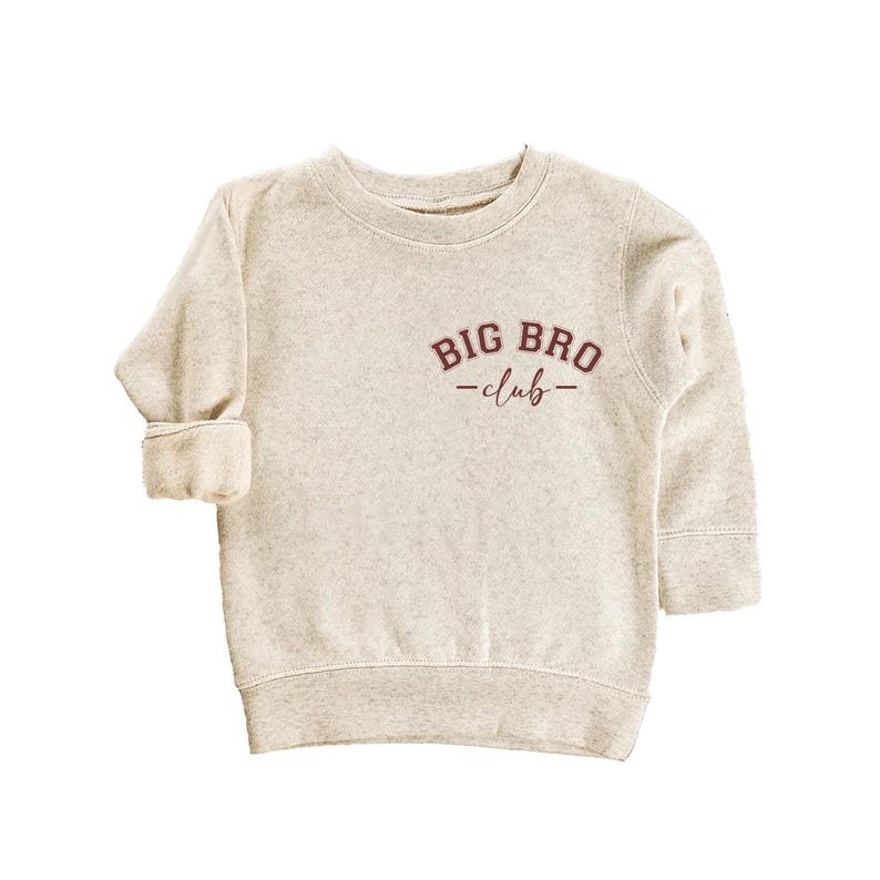Big Bro Baby Shirt, Matching Sibling Gift for Boys