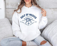 Gulf of Mexico Hoodie