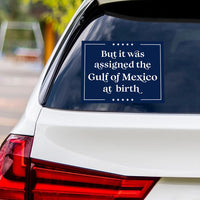 Gulf of Mexico Vinyl Sticker, Resist Hate Decal, Anti-Trump, Resist Racism Sticker, Resist Fascism Car Bumper Sticker