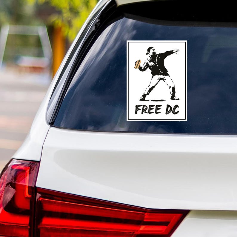 Free DC Protest Vinyl Sticker, Resist Hate Decal, Anti-Trump, No Kings Sticker, Resist Fascism Car Bumper Sticker, 6" x 4.5"