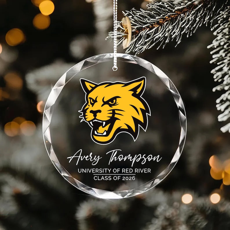 Custom University Logo Crystal Ornament, College Graduation Gift for Her, Personalized Class of 2026 Keepsake, School Grad Glass Ornament