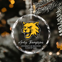 Custom University Logo Crystal Ornament, College Graduation Gift for Her, Personalized Class of 2026 Keepsake, School Grad Glass Ornament