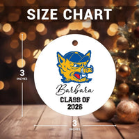 Custom University Ornament, Graduation College Ceramic Keepsake, Class of 2026 Gift, College Logo Ornament, Personalized Graduate Decor