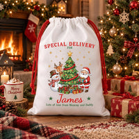 Personalized Santa Sack, Special Delivery Christmas Toy Sack with Name, Large Gift Bag, Personalized Present Sack, Kids Christmas Gift