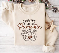 Growing a Little Pumpkin Embroidered Sweatshirt, Pregnancy Hoodie, Fall Maternity Shirt, Holiday Sweatshirt, Expecting Mom Fall Gift