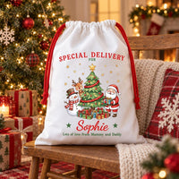 Personalized Santa Sack, Special Delivery Christmas Toy Sack with Name, Large Gift Bag, Personalized Present Sack, Kids Christmas Gift