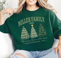 Custom Family Name Christmas Sweatshirt, Personalized Year and Town Holiday Shirt, Watercolor Christmas Trees Design, Merry Gift for Family