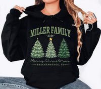 Custom Family Name Christmas Sweatshirt, Personalized Year and Town Holiday Shirt, Watercolor Christmas Trees Design, Merry Gift for Family